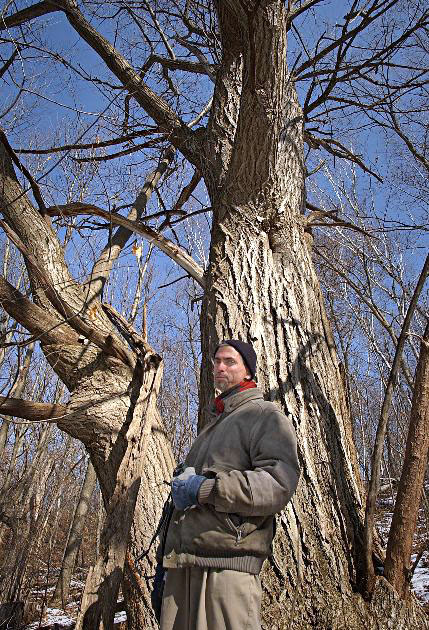 Tom Volk w/ Record Chestnut Tree <http://tomvolkfungi.net/>