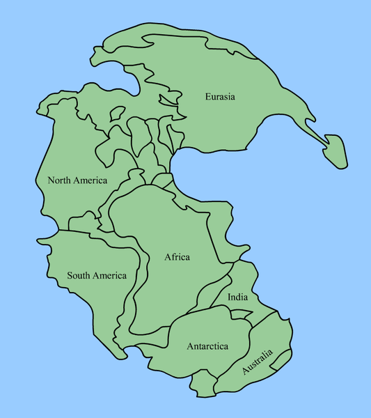 image from http://en.wikipedia.org/wiki/File:Pangaea_continents.png