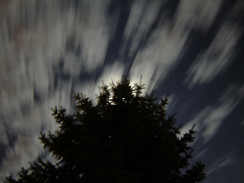 Clouds rushing over blue spruce, courtesy of Cory Funk, flickr. 