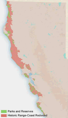 Picture of the distribution of the coast redwood found at: http://www.savetheredwoods.org/education/coastredwood.shtml