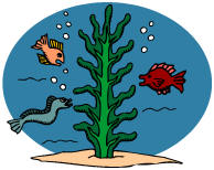 Seaweed clip art.
