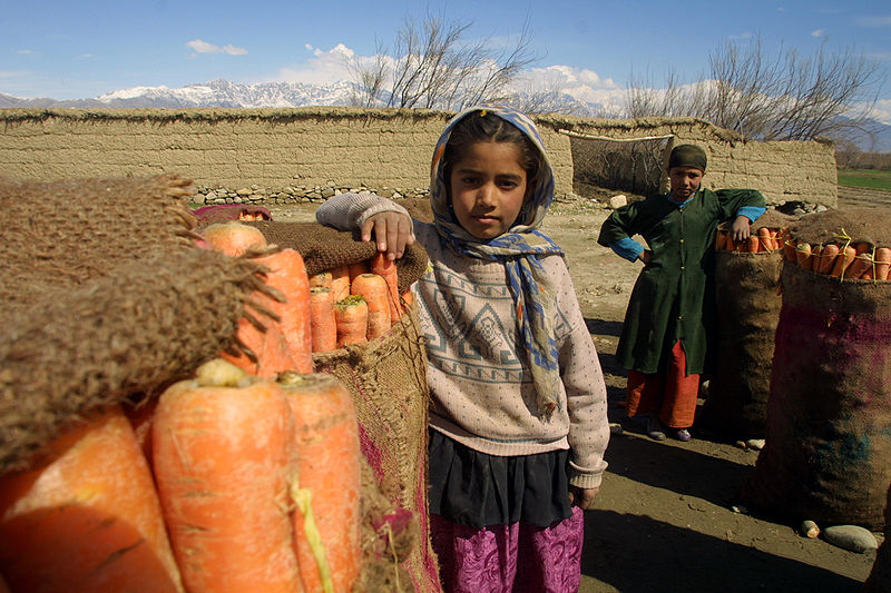 Children with carrots in Afghanistan from http://commons.wikimedia.org/wiki/File:Children_with_carrots_afghanistan.jpg