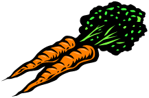 Carrot from Microsoft clip art