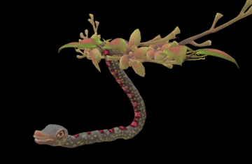 This is a image of a Paradise Tree Snake that I made on Spore.