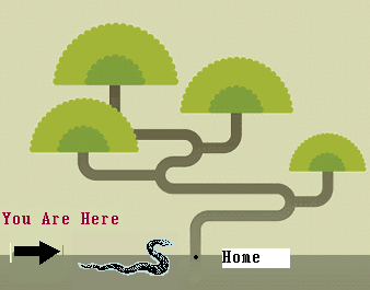 Your climb begins here in the clipart tree with snake.