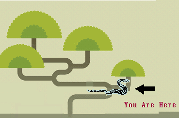 Keep going, click the snake and tree clipart.