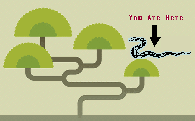 Keep going by clicking the snake and tree clipart.
