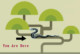 Keep going by clicking the snake and tree clipart.