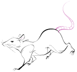 Rat- first animal in the Chinese zodiac. *From Clipart*