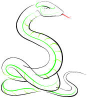 Snake- the sixth animal in the Chinese zodiac. *From Clipart*