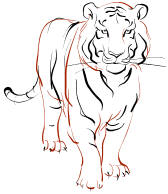 Tiger- third animal in the Chinese zodiac. *From Clipart*
