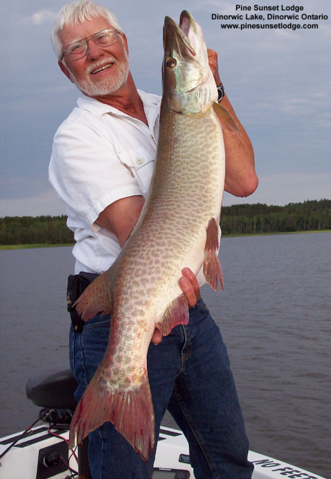 http://www.musky.ca/muskie-pictures.htm