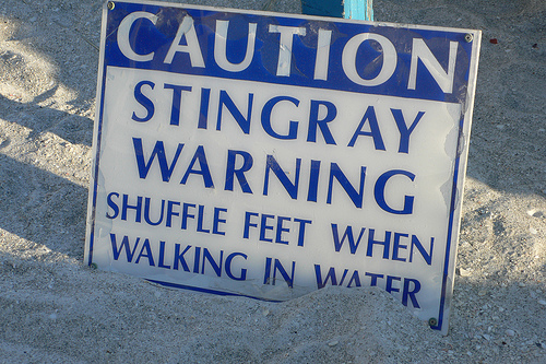 Stingray Caution Sign Photo by Mike Davis