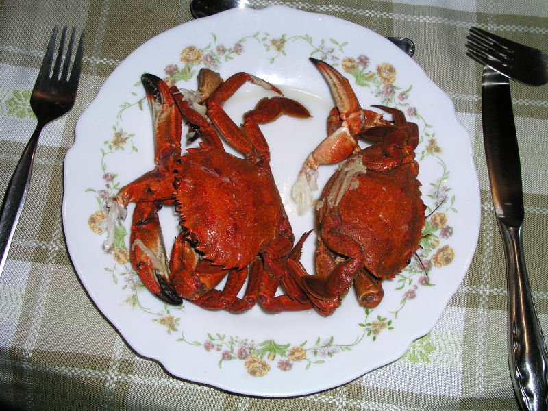 Cooked crab Image from Wikipedia Commons