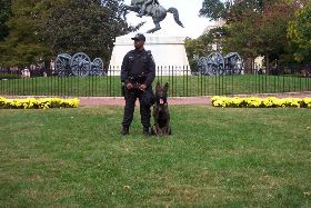 United States Park Police Canine Unit. Courtesy of Mattes