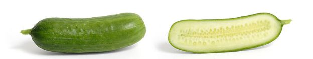 Cross Section of a Cucumber.