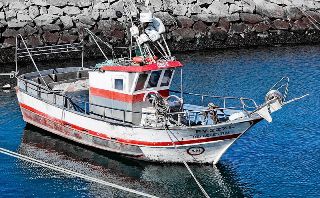 Jsome 1. "Portugese fishing boat." (image) <http://commons.wikimedia.org/wiki/File:Portugese_fishing_boat.jpg>. Accessed 9 April 2009