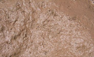 Oven, F. "Mud closeup." (image) <http://commons.wikimedia.org/wiki/File:Mud_closeup.jpg>. Accessed 9 April 2009. 