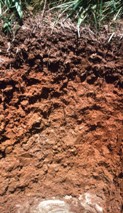 http://www.tn.nrcs.usda.gov/technical/soils/pictures/Cannon%20Talbott.jpg
