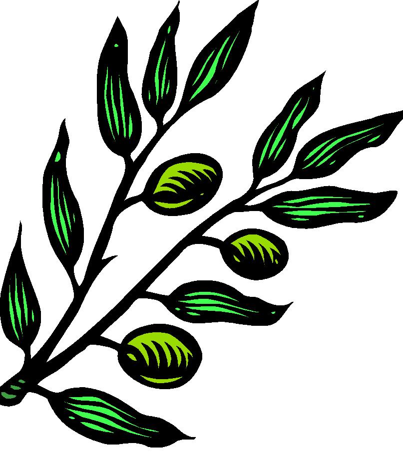 olive branch cartoon from Microsoft Word 2003 clipart