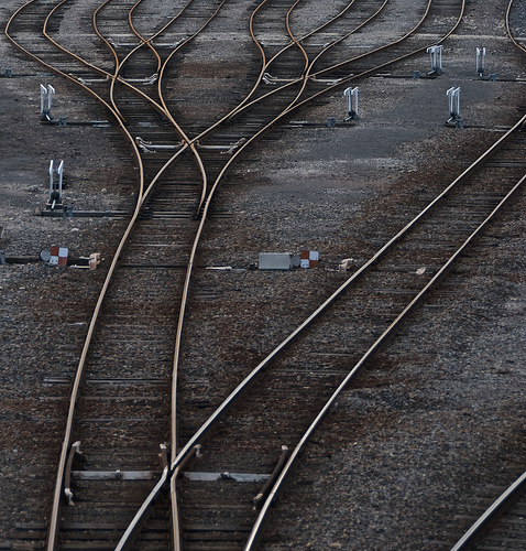 Train Tracks That Resemble a Phylogenetic Tree
