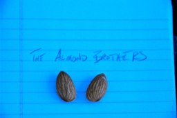 The Almond Brothers.  http://www.flickr.com/photos/bouche/3317122314/sizes/o/