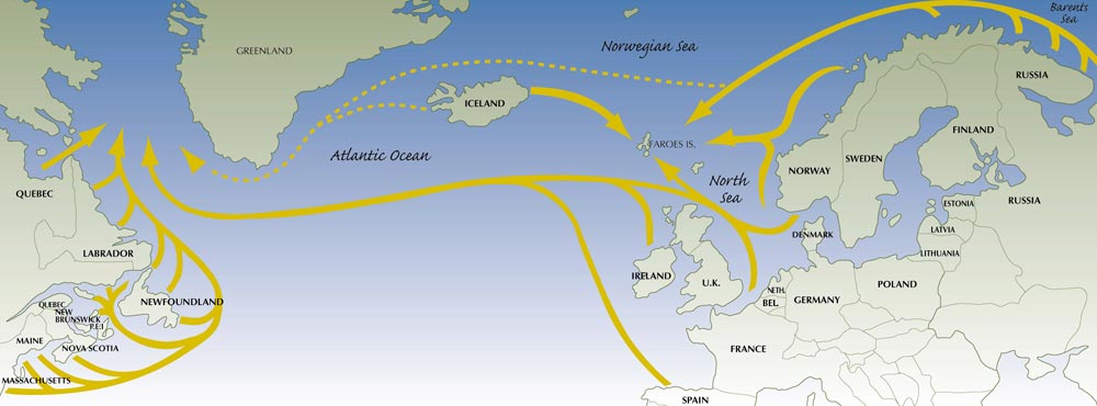 Salmon Travel Routes - Image Found at http://www.asf.ca/about_salmon.php