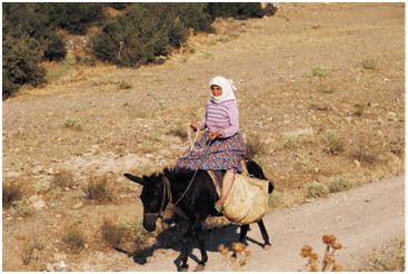 A clipart picture of a woman using a donkey for transportation of herself and goods
