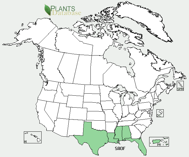 Distribution of sugar cane in the United States.