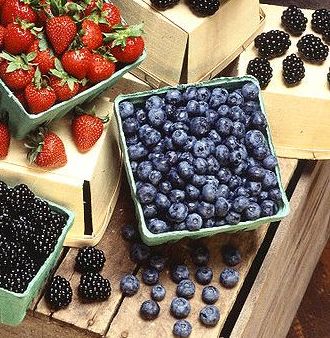 Carton of highbush blueberries.  Photo from Wikimedia Commons.