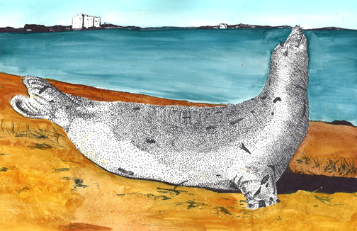 Paintitng of harp seal