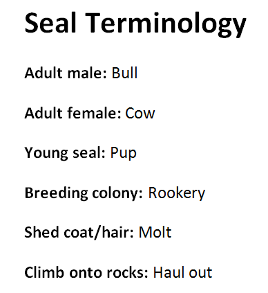 Seal Terminology