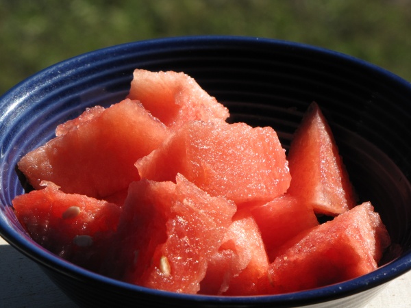 Seedless watermelon, used with permission by Forest and Kim Starr, URL:http://www.hear.org/starr/images/species/?q=citrullus+lanatus&o=plants
