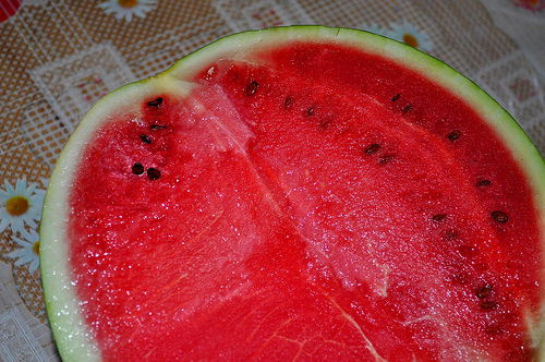 Watermelon, photo was used with permission with some rights reserved, URL: http://www.flickr.com/photos/hulagway/5725111956/