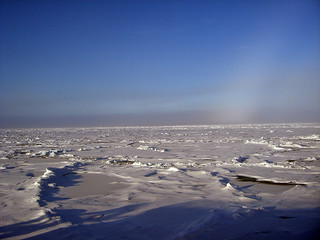 Arctic Shelf