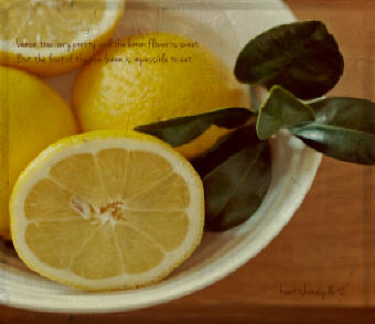 Lemon poem