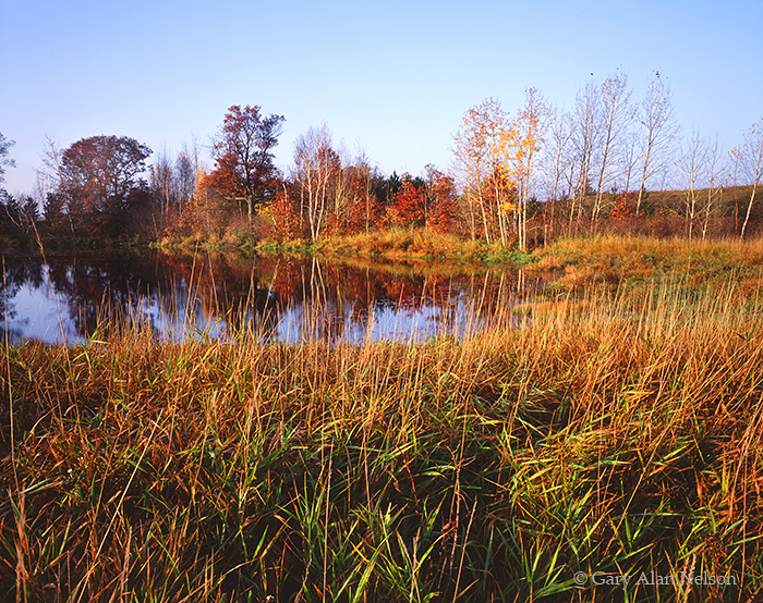 Image shows the rich colors of autum in Minnesota.
