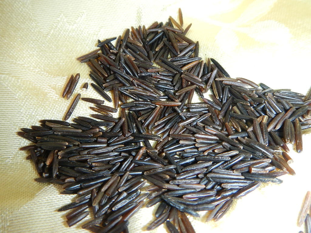 Image shows a small pile of wild rice grains.