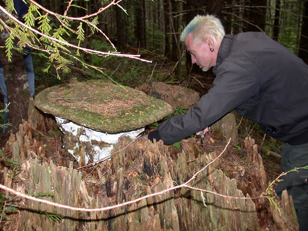 Thomas Volk examining a interesting Fungi