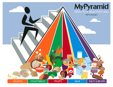 Nutritional food pyramid for humans. Photo taken from public domian. United State Department of Agriculture. 