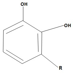 Image of the chemical structure of urushiol.