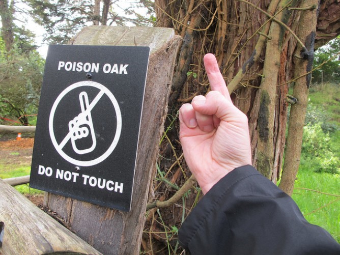 Sign warning against the dangers of touching poison oak.