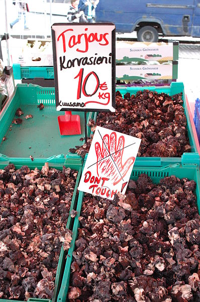 False morels for sale with a sign saying don't touch