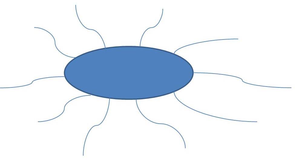 Example of peritrichous flagella (surrouding the cell)