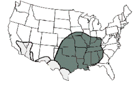 The distribution of the brown recluse in the United States.  This map is the property of the Department of Entomology at the University of Kentucky.