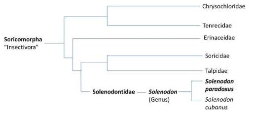 Modified from Cambridge Journals Online