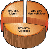 Shows how much wood is made of lignin