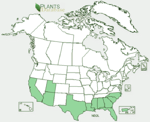Distribution of Oleander in Canada and the United States thanks to the USDA