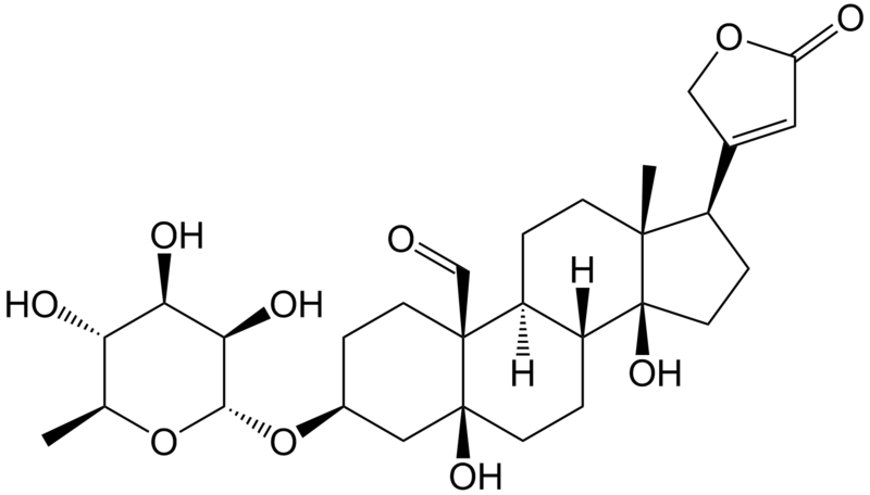 Structure of convallotoxin. Epop, Wikimedia Commons, 2008.