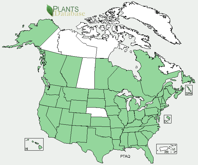 Bracken fern distribution map provided by the USDA